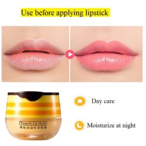 2PCS Bee Balm Lip Balm Honey Pot,Propolis Moisturizing Honey Lip Mask Lip Balm,Hydrating & Prevention Dry and Cracked Lip Scrubs Exfoliator