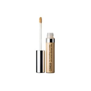clinique clinique line smoothing concealer 02 light, 0.28 ounce, 1 count