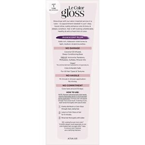 L'Oreal Paris Le Color Gloss One Step In-Shower Toning Hair Gloss, Neutralizes Brass, Conditions & Boosts Shine, Iridescent Plum Purple, 4 Ounce