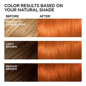 L'Oreal Paris Feria Multi-Faceted Shimmering Permanent Hair Color, C74 Intense Copper, Pack of 2, Hair Dye