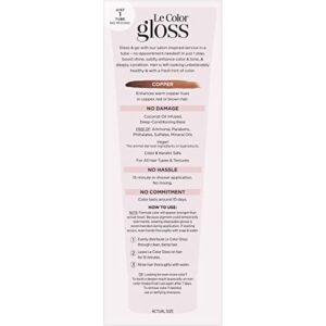 L'Oreal Paris Le Color One Step Toning Hair Gloss, Copper, 4 Ounce