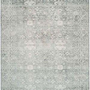 SAFAVIEH Evoke Collection 8' x 10' Silver / Ivory EVK270Z Shabby Chic Distressed Non-Shedding Living Room Bedroom Dining Home Office Area Rug