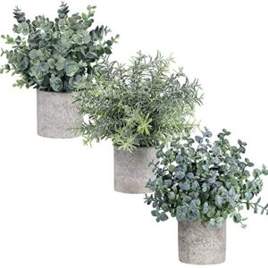 Winlyn Set of 3 Mini Potted Artificial Eucalyptus Plants Plastic Fake Green Rosemary Plant for Home Decor Office Desk Shower Room Decoration