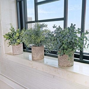 Winlyn Set of 3 Mini Potted Artificial Eucalyptus Plants Plastic Fake Green Rosemary Plant for Home Decor Office Desk Shower Room Decoration