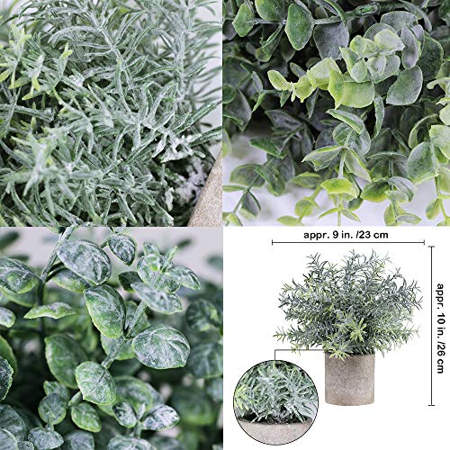 Winlyn Set of 3 Mini Potted Artificial Eucalyptus Plants Plastic Fake Green Rosemary Plant for Home Decor Office Desk Shower Room Decoration