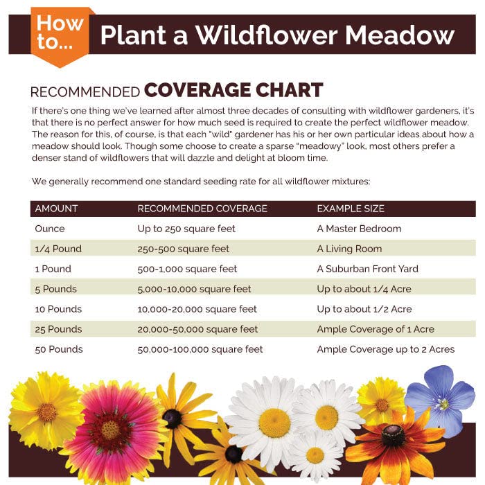 Northeast Wildflower Seed Mix - 1/4 Pound - Mixed Wildflower Seeds, Attracts Bees, Attracts Butterflies, Attracts Hummingbirds, Attracts Pollinators, Easy to Grow & Maintain, Cut Flower Garden