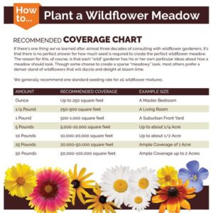 Partial Shade Wildflower Seed Mix - 1/4 Pound - Mixed Wildflower Seeds, Attracts Bees, Attracts Butterflies, Attracts Hummingbirds, Attracts Pollinators, Easy to Grow & Maintain, Landscaping