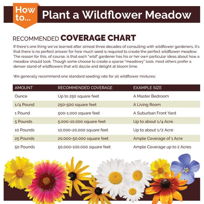 Pacific Northwest Wildflower Seed Mix - 1/4 Pound - Mixed Wildflower Seeds, Attracts Bees, Attracts Butterflies, Attracts Hummingbirds, Attracts Pollinators, Easy to Grow & Maintain, Cut Flower