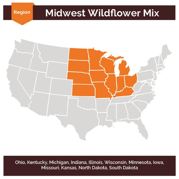 Midwest Wildflower Seed Mix - 1 Pound - Mixed Wildflower Seeds, Attracts Bees, Attracts Butterflies, Attracts Hummingbirds, Attracts Pollinators, Easy to Grow & Maintain, Cut Flower Garden