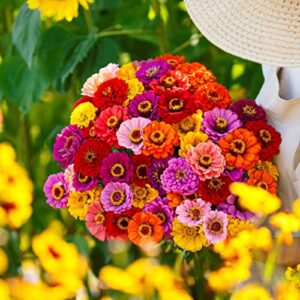 Zinnia Seeds - California Giants - 1 Ounce - Red/Pink/Orange Flower Seeds, Open Pollinated Seed Attracts Bees, Attracts Butterflies, Attracts Hummingbirds, Attracts Pollinators