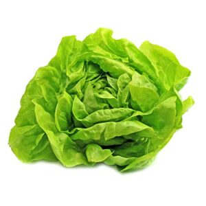 utopiaseeds buttercrunch lettuce seeds – butterhead lettuce seeds