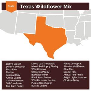 Texas Wildflower Seed Mix - 5 Pounds - Mixed Wildflower Seeds, Attracts Bees, Attracts Butterflies, Attracts Hummingbirds, Attracts Pollinators, Easy to Grow & Maintain, Cut Flower Garden