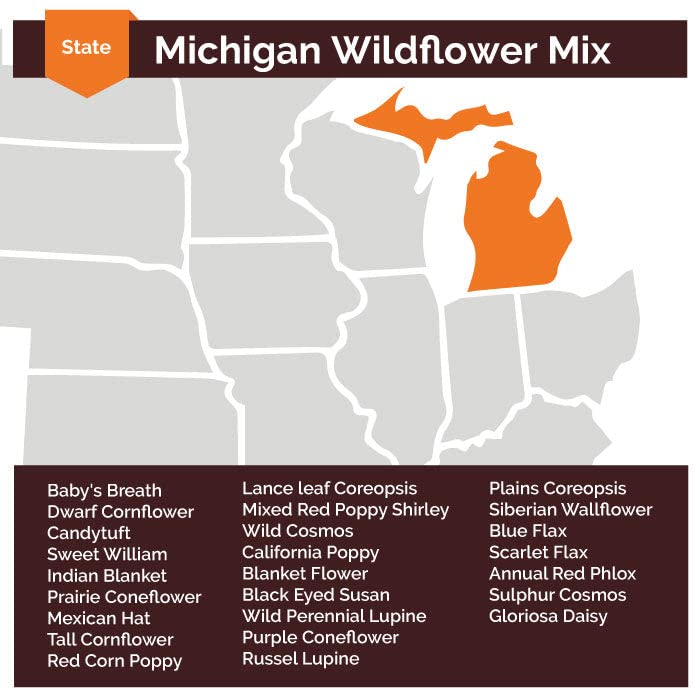 Michigan Wildflower Seed Mix - 1/4 Pound - Mixed Wildflower Seeds, Attracts Bees, Attracts Butterflies, Attracts Hummingbirds, Attracts Pollinators, Easy to Grow & Maintain, Cut Flower Garden