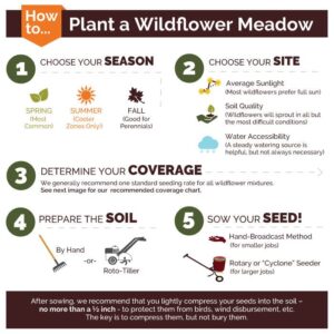 Florida Wildflower Seed Mix - 1/4 Pound - Mixed Wildflower Seeds, Attracts Bees, Attracts Butterflies, Attracts Hummingbirds, Attracts Pollinators, Easy to Grow & Maintain, Cut Flower Garden