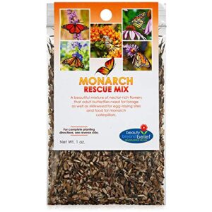 monarch butterfly rescue wildflower seeds bulk open-pollinated wildflower seed packet, no fillers, annual, perennial milkweed seeds for monarch butterfly 1oz