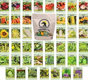 set of 43 assorted vegetable & herb seed packets – over 10,000 seeds! – includes mylar storage bag – deluxe garden heirloom seeds – 100% non-gmo