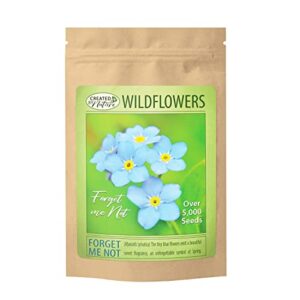 Forget Me Not Flowers (Myosotis sylvatica) - Over 5,000 Premium Seeds