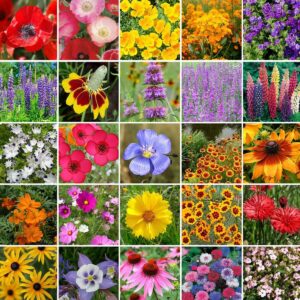 Western Wildflower Seed Mix - 1/4 Pound - Mixed Wildflower Seeds, Attracts Bees, Attracts Butterflies, Attracts Hummingbirds, Attracts Pollinators, Easy to Grow & Maintain, Cut Flower Garden
