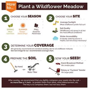 Dry Area Wildflower Seed Mix - 1 Pound - Mixed Wildflower Seeds, Attracts Bees, Attracts Butterflies, Attracts Hummingbirds, Attracts Pollinators, Easy to Grow & Maintain, Cut Flower Garden