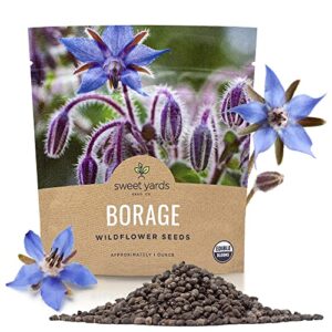 sweet yards seed co. borage seeds – extra large packet – over 1,200 open pollinated non-gmo wildflower seeds – borago officianalis