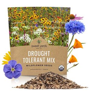 sweet yards seed co. drought tolerant wildflowers mix – extra large packet – over 7,500 open pollinated non-gmo seeds – 21 different dryland species!