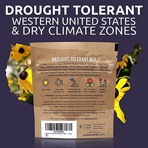 Sweet Yards Seed Co. Drought Tolerant Wildflowers Mix – Extra Large Packet – Over 7,500 Open Pollinated Non-GMO Seeds – 21 Different Dryland Species!