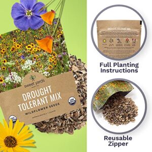 Sweet Yards Seed Co. Drought Tolerant Wildflowers Mix – Extra Large Packet – Over 7,500 Open Pollinated Non-GMO Seeds – 21 Different Dryland Species!