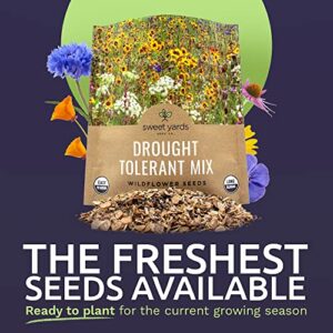 Sweet Yards Seed Co. Drought Tolerant Wildflowers Mix – Extra Large Packet – Over 7,500 Open Pollinated Non-GMO Seeds – 21 Different Dryland Species!