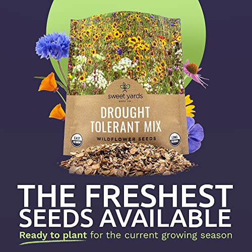 Sweet Yards Seed Co. Drought Tolerant Wildflowers Mix – Extra Large Packet – Over 7,500 Open Pollinated Non-GMO Seeds – 21 Different Dryland Species!