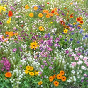 flowery fields forever flower seed mix – 5 pounds – mixed wildflower seeds, attracts bees, attracts butterflies, attracts hummingbirds, attracts pollinators, easy to grow & maintain, cut flower