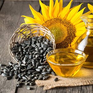 sunflower seeds – black oil microgreen – 5 pounds – yellow flower seeds, open pollinated seed attracts bees, attracts butterflies, attracts hummingbirds, attracts pollinators
