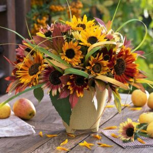 Sunflower Seeds - Autumn Beauty - 5 Pounds - Red/Yellow/Orange Flower Seeds, Open Pollinated Seed Attracts Bees, Attracts Butterflies, Attracts Pollinators, Easy to Grow & Maintain, Edible, Cut