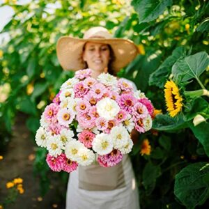 Zinnia Seeds - Isn't This Romantic Mix - 1 Pound - Pink/Yellow/White Flower Seeds, Open Pollinated Seed Attracts Bees, Attracts Butterflies, Attracts Hummingbirds, Attracts Pollinators, Easy to