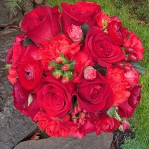 Ranunculus Bulbs - Red - 100 Bulbs - Red Flower Bulbs, Corm Attracts Bees, Attracts Pollinators, Easy to Grow & Maintain, Fragrant, Container Garden