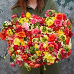 Ranunculus Bulbs - Super Green Mix - 100 Bulbs - Mixed Flower Bulbs, Corm Attracts Bees, Attracts Pollinators, Easy to Grow & Maintain, Fragrant, Container Garden