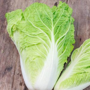 chinese cabbage seeds – michihili – 5 pounds – vegetable seeds, heirloom seed, open pollinated seed fast growing, container garden