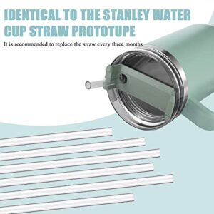 6 Pack Replacement Straws for Stanley Adventure Travel Tumbler, Individually Packaged Reusable Straws Plastic Straws with Cleaning Brush Compatible with Stanley Cup 40 oz, Long Straws for Stanley Cup