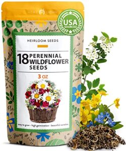 90,000 wildflower seeds – 3oz pure wild flower seed pack – 18 variety – perennial flower seeds for attracting birds & butterflies – open pollinated, flower garden seeds for planting outdoors