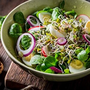 Nature Jims Sprouts Salad Sprout Mix - Organic Salad Mix for Growing - Non-GMO Microgreen Seeds - Healthy Broccoli, Alfalfa, Radish, Clover Sprouting Seeds Variety Mix - Microgreens Growing 1lb