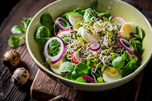 Nature Jims Sprouts Salad Sprout Mix - Organic Salad Mix for Growing - Non-GMO Microgreen Seeds - Healthy Broccoli, Alfalfa, Radish, Clover Sprouting Seeds Variety Mix - Microgreens Growing 1lb