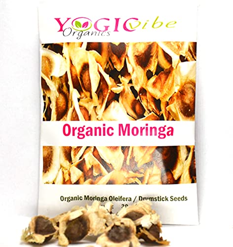 30 Organic Moringa Oleifera Drumstick Seeds Non-GMO for Sprouting, Planting, Cooking. Unprocessed Seeds with Wings. Grow Moringa - It Has More Than 25% Protein, Same As Eggs and 2X The Amount of Milk