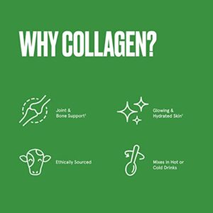 Bulletproof Collagen 18g Protein Powder, 8.5 oz, Unflavored