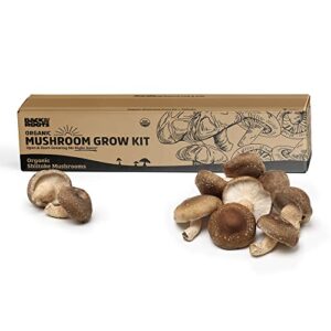 Back to the Roots Organic Shiitake Mushroom Kit; Great Gift; Easy for Beginners, for Indoor Growing