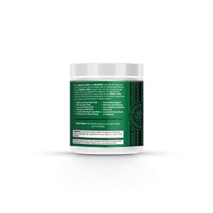 MEGAHUNES - Greens & Reds Immune Support - Dietary Supplement - with Prebiotics and Enzymes - for Immune System Support, Energy, and Digestion - Organic & Gluten-Free - Mixed Berry - 35 Servings