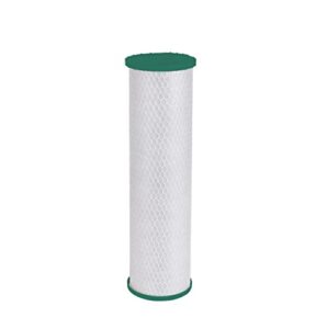 ge whole home filter, 1 count (pack of 1), white-fthlm
