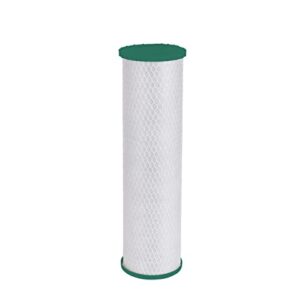 GE Whole Home Filter, 1 Count (Pack of 1), White-FTHLM