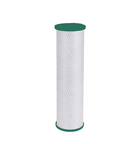 GE Whole Home Filter, 1 Count (Pack of 1), White-FTHLM