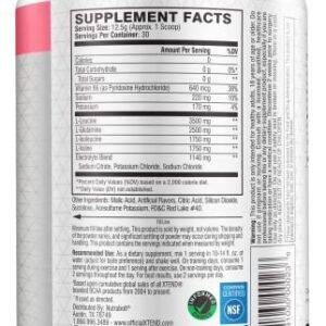 XTEND Original BCAA Powder Watermelon Explosion - Sugar Free Post Workout Muscle Recovery Drink with Amino Acids - 7g BCAAs for Men & Women - 30 Servings