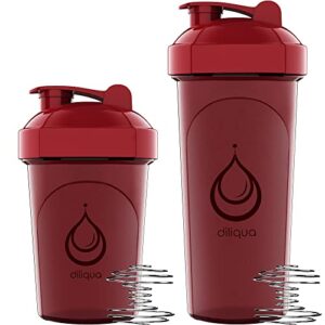 diliqua -10 PACK- Shaker Bottles for Protein Mixes | BPA-Free & Dishwasher Safe | 5 Large 28 oz & 5 20 oz small protein shaker bottle | Shaker Cups for protein shakes | Blender Shaker Bottle Pack