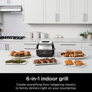 Ninja EG201 Foodi 6-in-1 Indoor Grill with Air Fry, Roast, Bake, Broil, & Dehydrate, 2nd Generation, Black/Silver